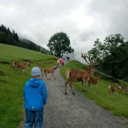 Appartementhaus Bad Salve Hopfgarten im Brixental Esterno foto