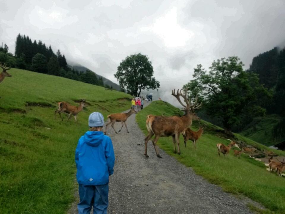 Appartementhaus Bad Salve *